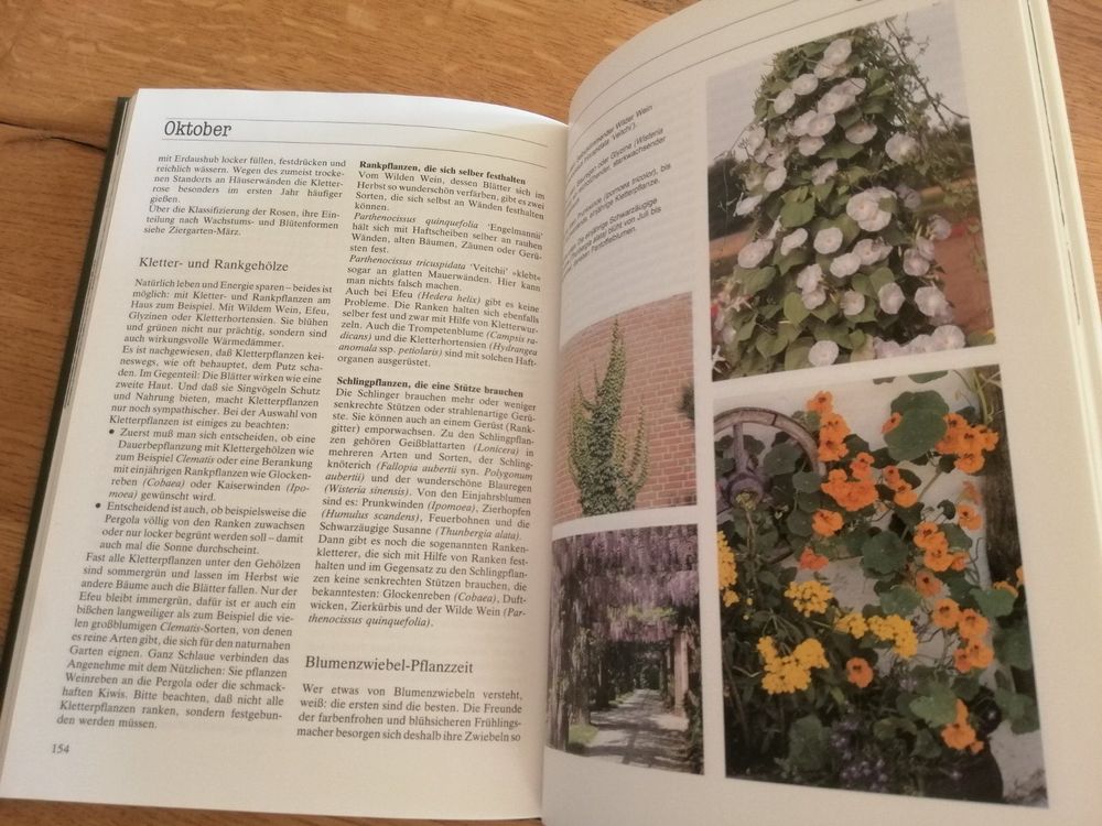 Buch Der Garten im Jahreslauf Kaufen auf Ricardo
