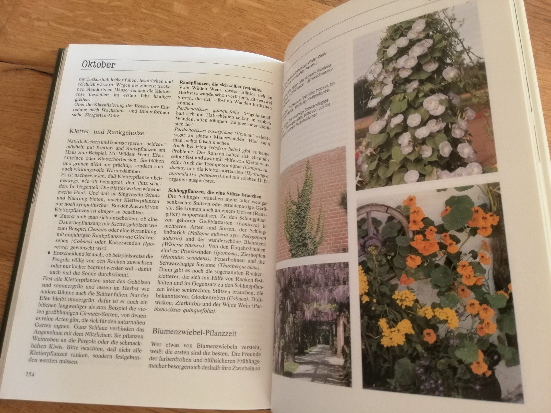 Bücher: Buch Der Garten im Jahreslauf – Gebraucht aus Langenthal von Handstrick 7