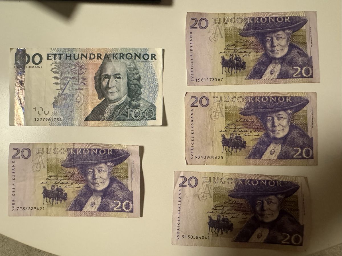 Banconote: alte schwedische Banknoten – Usato da Massagno venduto da ilm_vd96