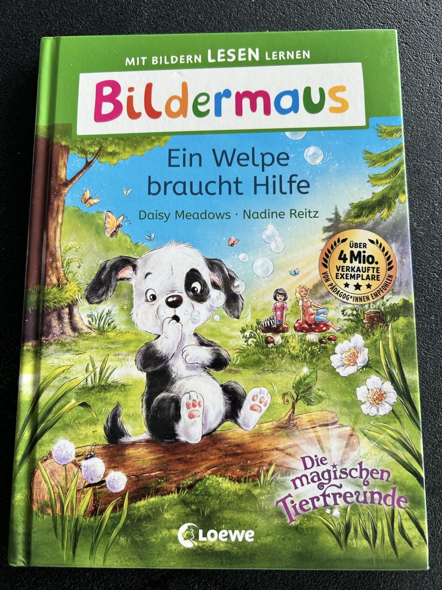 Libri: Kinderbuch - Leselöwe – Usato da Oberbuchsiten venduto da hue_66rs