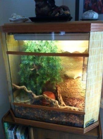 Terrario: Terrarium, Topzustand – Nuovo (secondo la descrizione) da Einsiedeln venduto da Brocki59 1