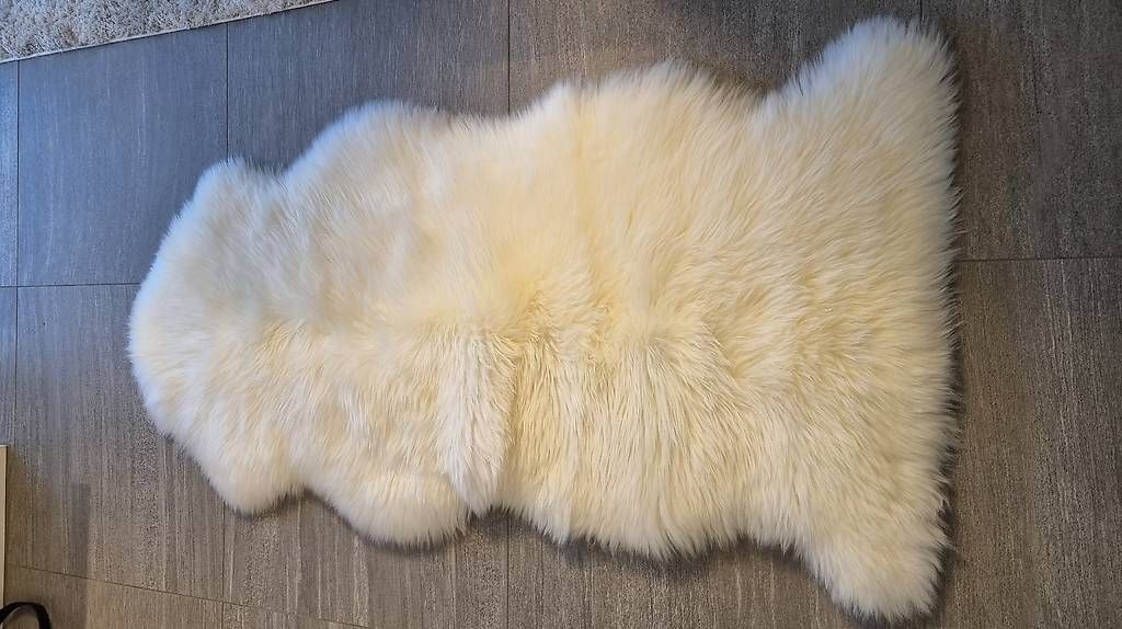 Coperte: Lammfell neu – Usato da Chur venduto da urs_lw7r 2