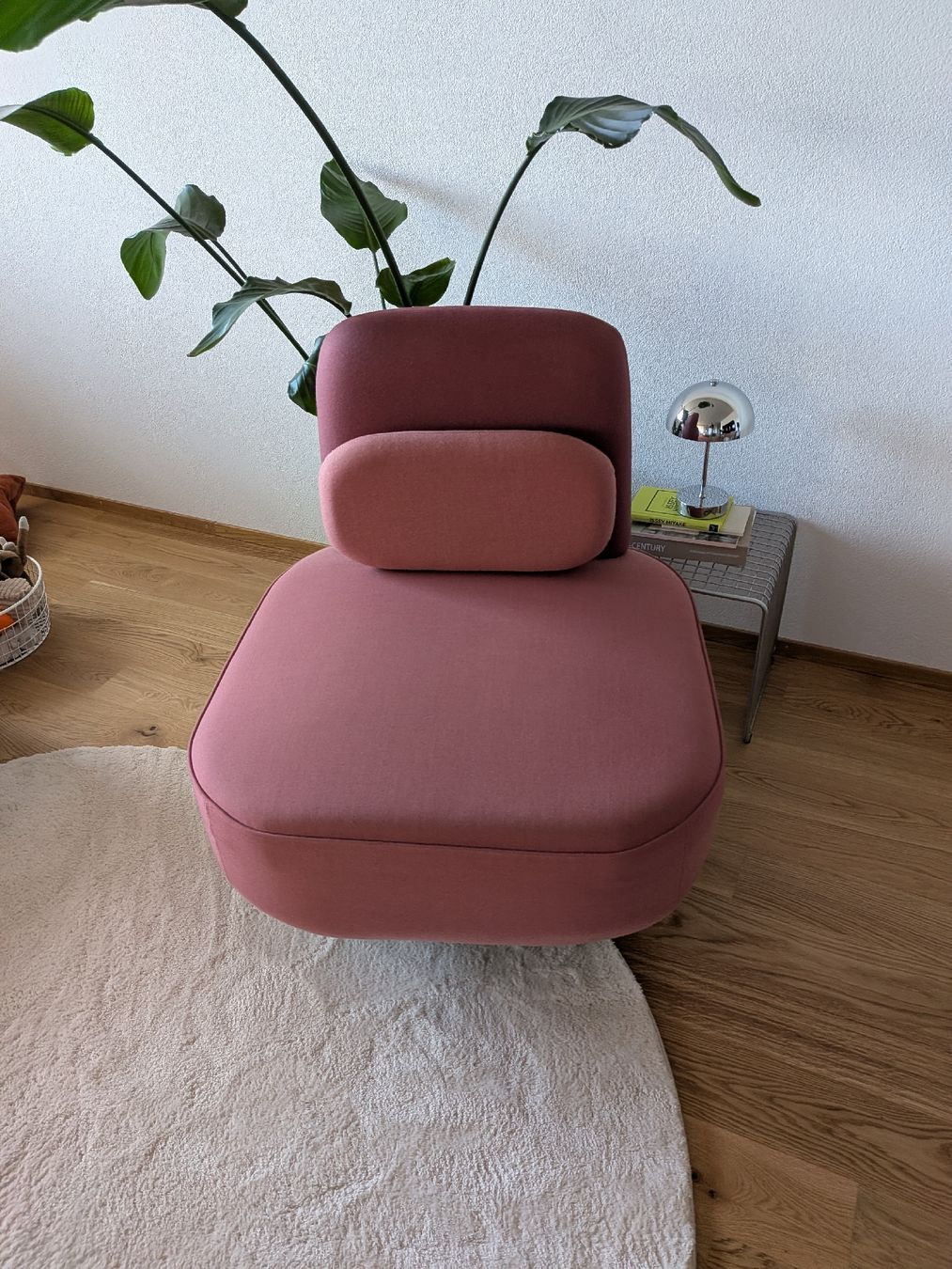 Poltrone: Designer Sessel in Rosa – Usato da Liebefeld venduto da Wunderland84 1