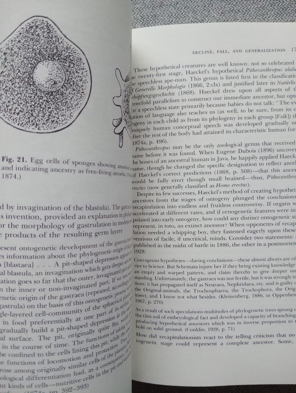 Libri: Ontogeny and Phylogeny Jay Gould 1977 – Usato da Allschwil venduto da Evgeniia78 1