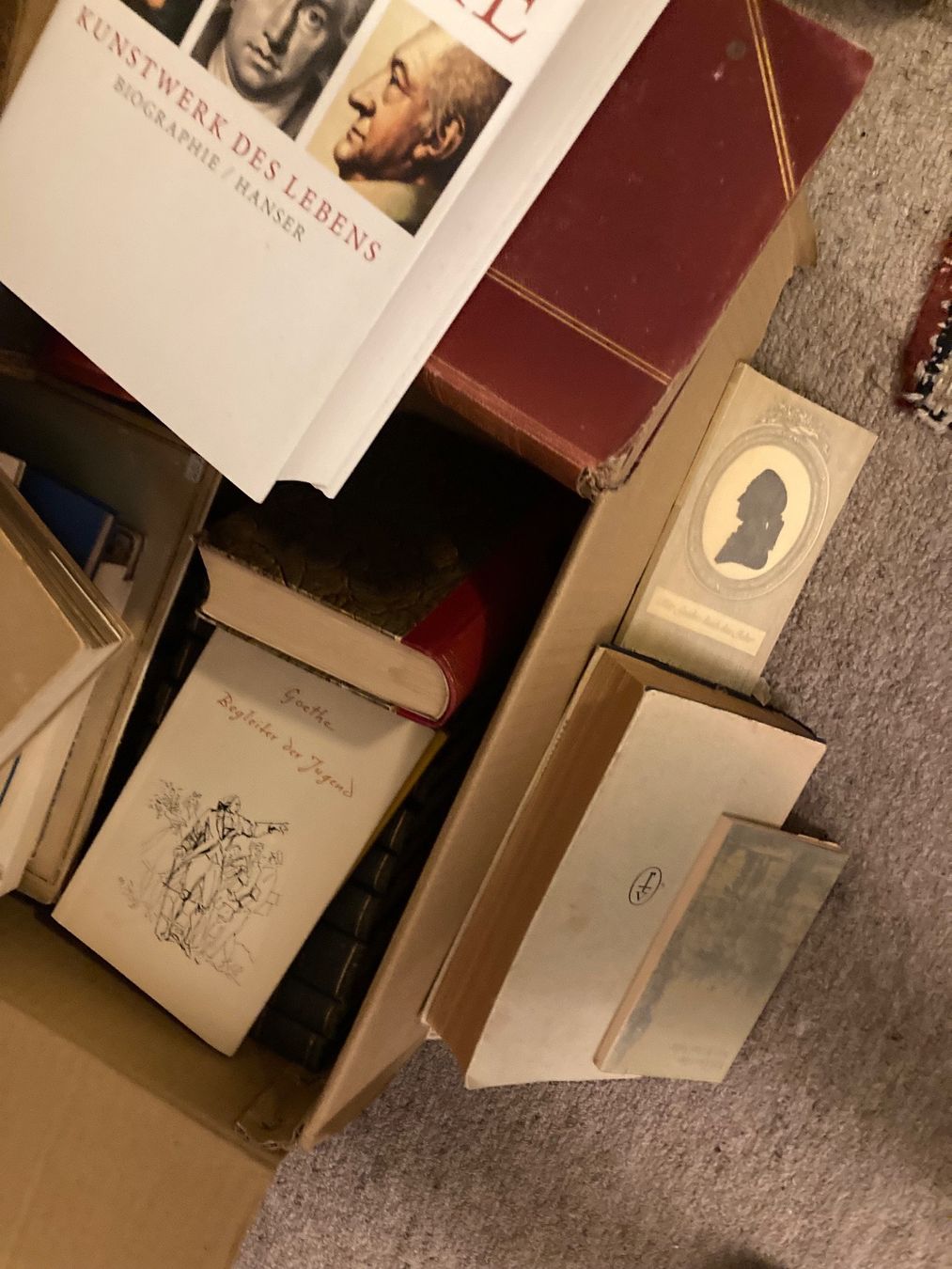 Libri: Konvolut Goethe Bücher – Usato da Adliswil venduto da eku_8mgk 1