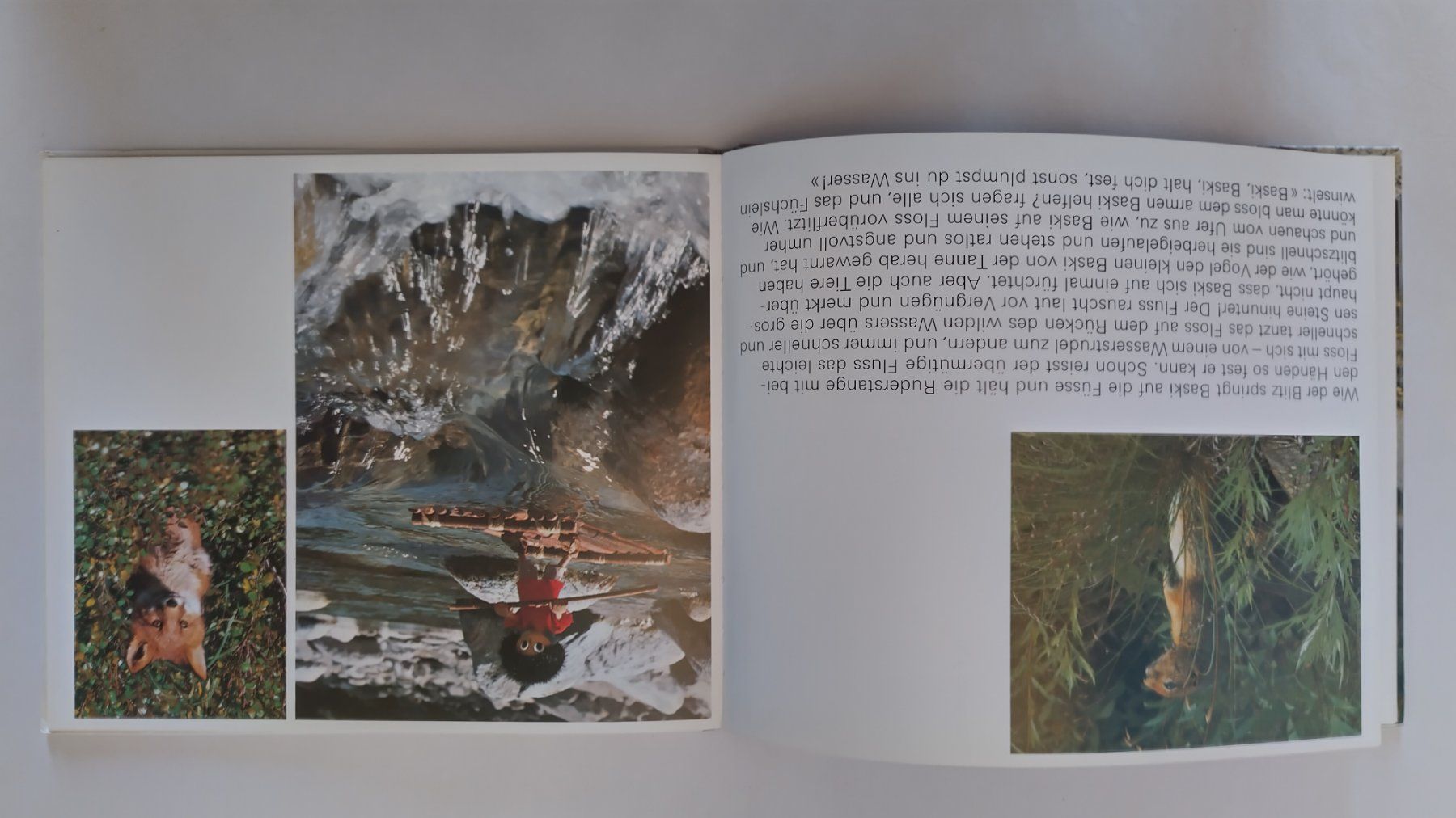 Libri: Baski - Grosse Flussfahrt ab Fr. 10.- / Bilderbuch 1976 – Usato da Bellach venduto da JingleJerry 2