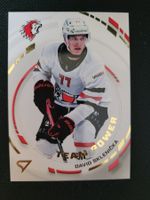 HC Lausanne - David Sklenicka - 24/25 -Series 2 - Team Power