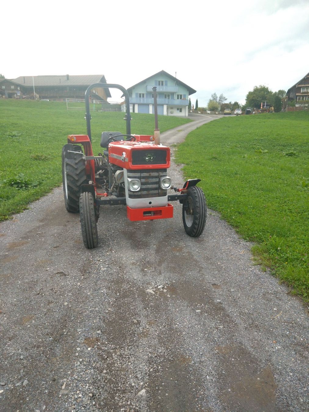Massey Ferguson Trattori: Traktor Massey-Ferguson MF 135 – Usato da Egg SZ venduto da kombi83 2