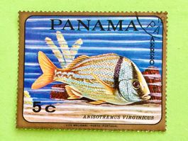 Briefmarken aus Panama Tropical Fish  gestempelt  