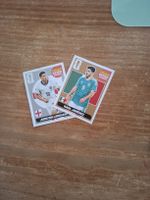 Panini 2026