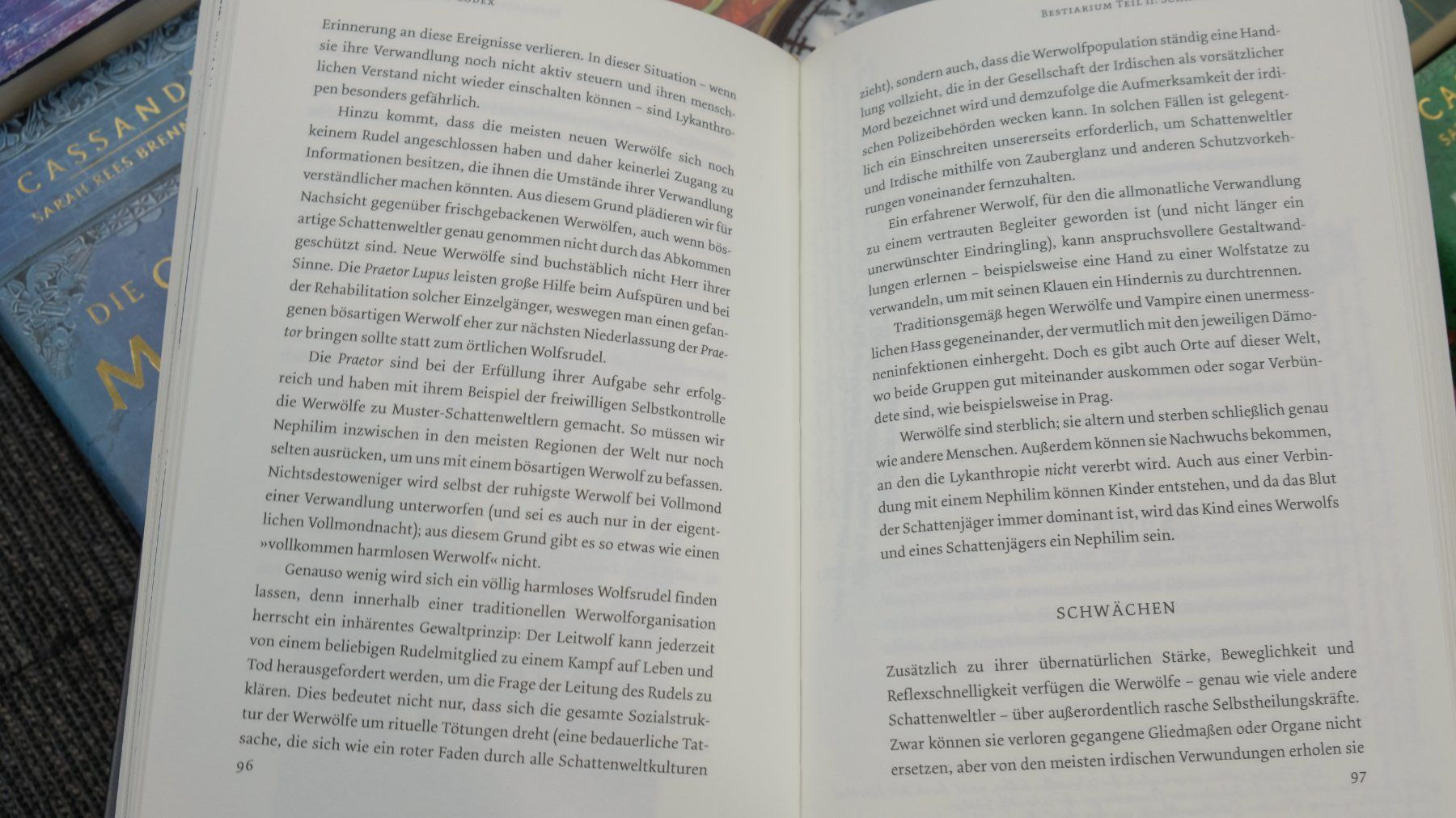 Libri: Cassandra Clare Schattenjäger - 10 Bücher Set – Usato da Volketswil venduto da brockipfannenstil 4