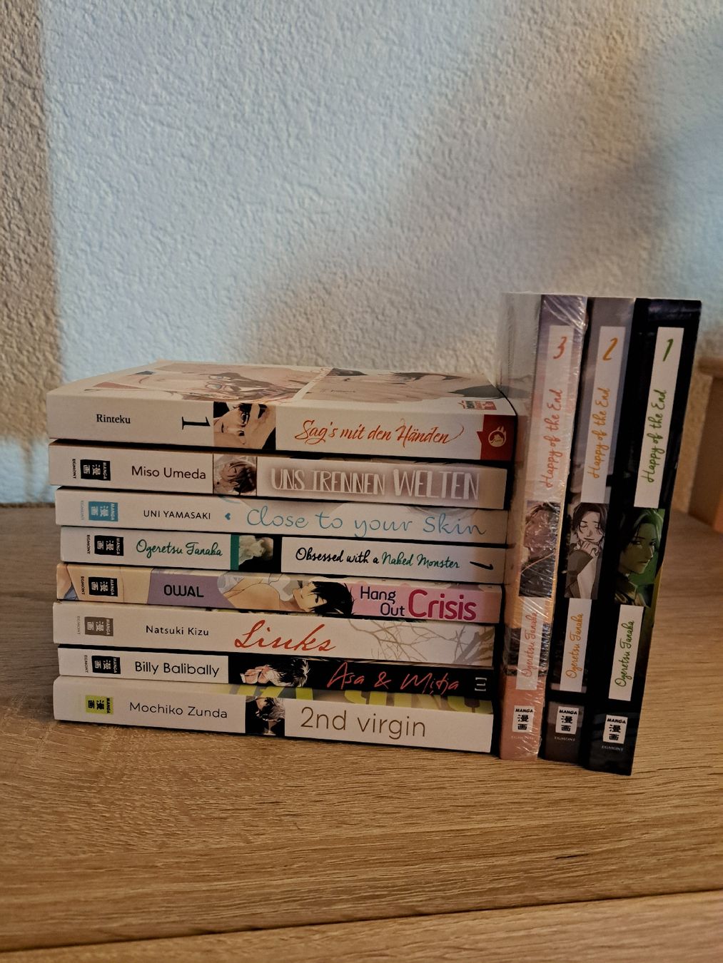 Comics: grosse BL Manga Sammlung – Neu (gemäss Beschreibung) aus Brienz BE von MeiMei_san
