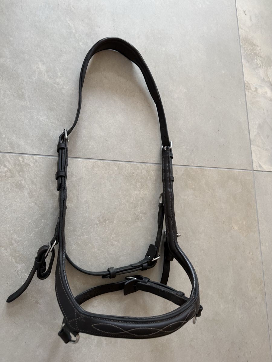 Briglie & Cavezze: Schönes Rambo Micklem WB-XL – Usato da Goldingen venduto da Wibli96 5