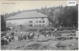 Val de Ruz NE - Ferme de la Dame - Heuernte