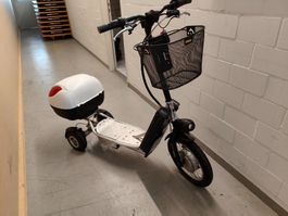 E-Scooter 3-rädig mit Zubehör