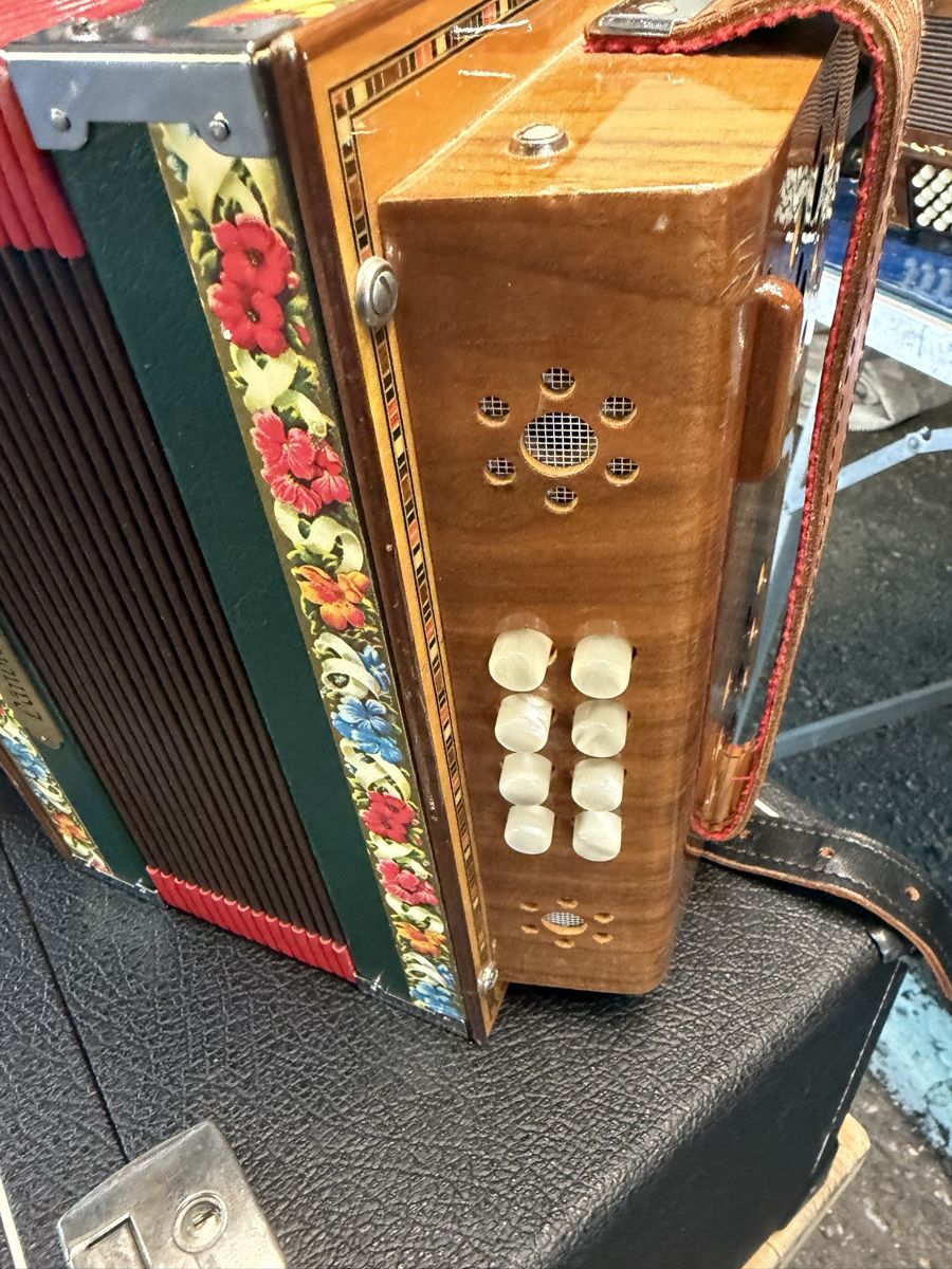 Strumenti musicali: Schwyzerògeli pauli – Usato da Muhen venduto da MiGeiss64 4