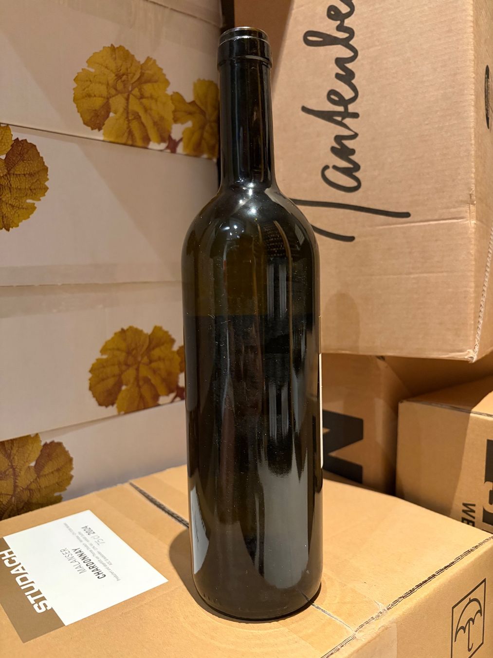 Studach Vins: Thomas Studach Completer 2019 – Neuf avec emballage d'origine à Liestal par Rockthat 3