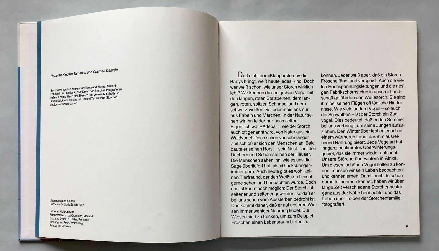 Libri: Fotobuch: Das Storchenjahr – Nuovo (secondo la descrizione) da Bubendorf venduto da Alpenheidi 3