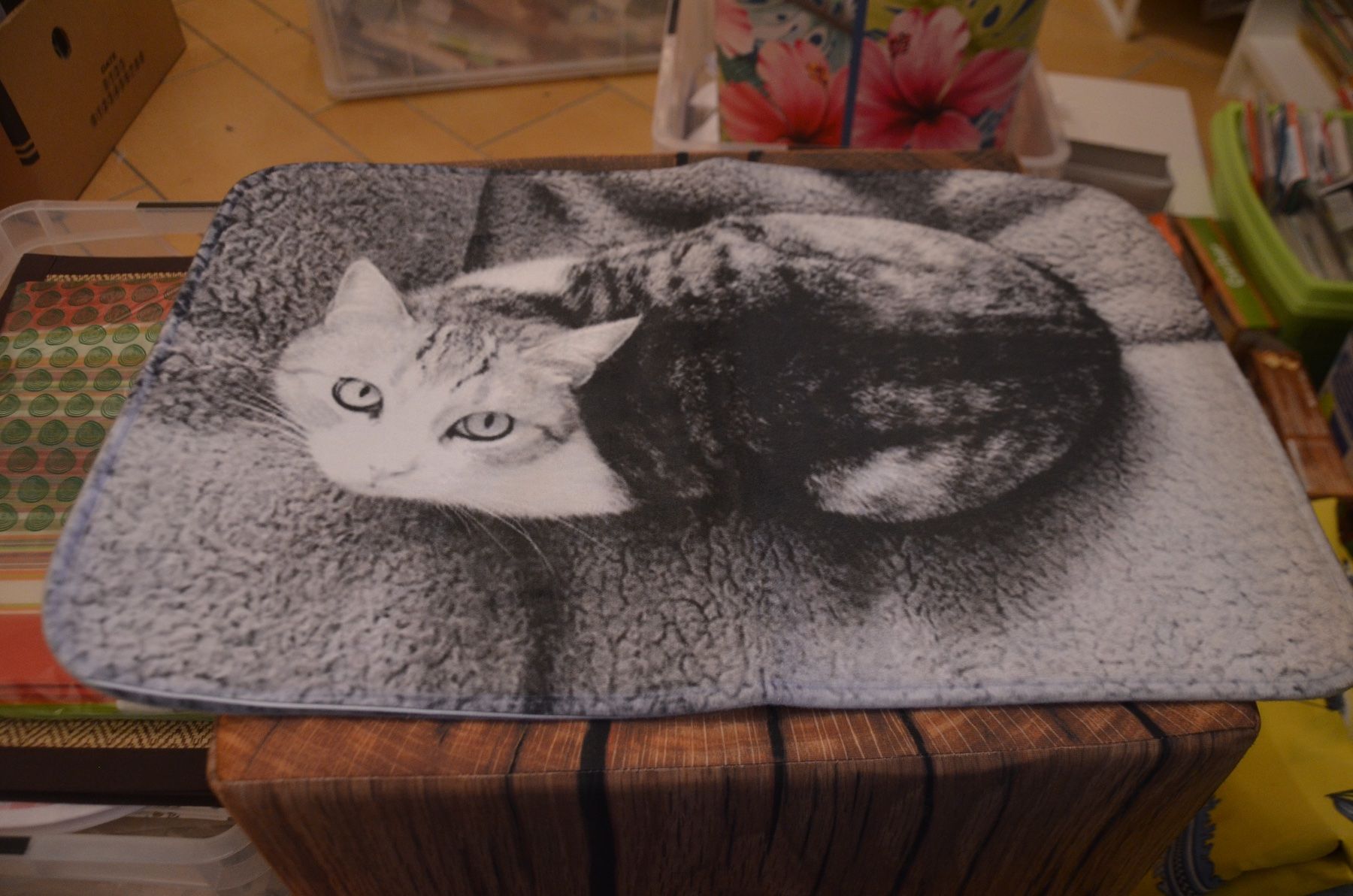 Tappeti: TAPIS - TEPPICHE - CM 60X40 – Nuovo (secondo la descrizione) da Chiasso venduto da Dolly015