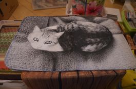 TAPIS - TEPPICHE - CM 60X40