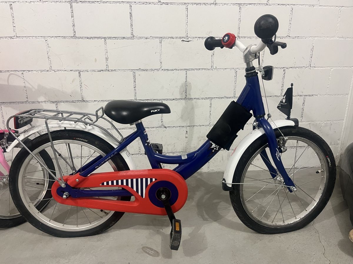Biciclette: Captain Sharky Jungs Velo – Usato da Thalwil venduto da ana_d8w8