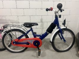 Captain Sharky Jungs Velo