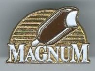 Magnum Pin