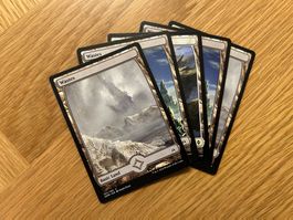 Magic the Gathering Full Art Mana Wastes / Farblos 5stk