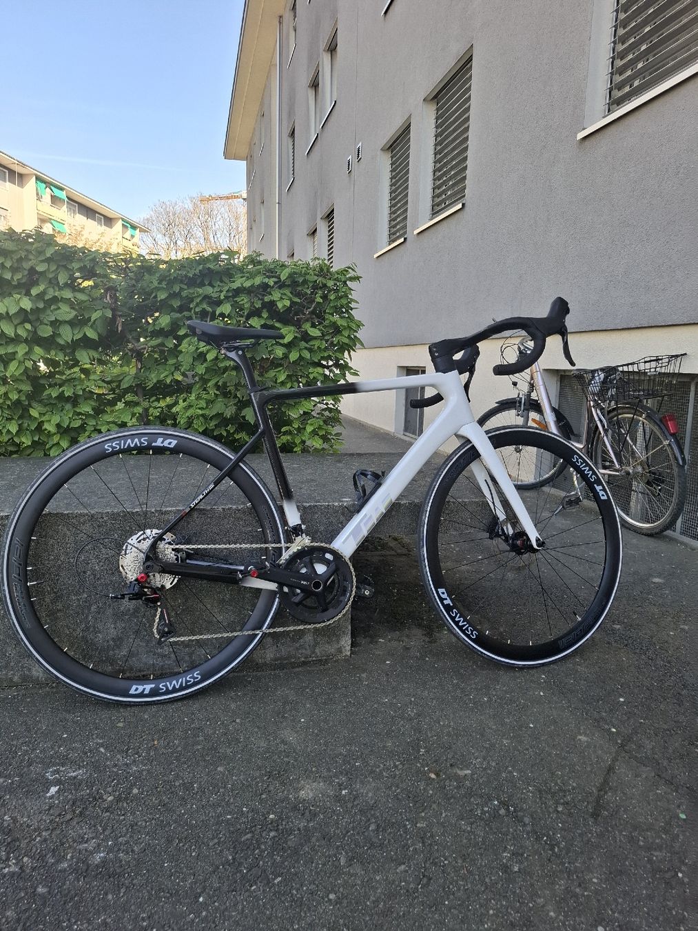Biciclette: Carbon Rennrad – Nuovo (secondo la descrizione) da Dietikon venduto da rya_l6qv 5