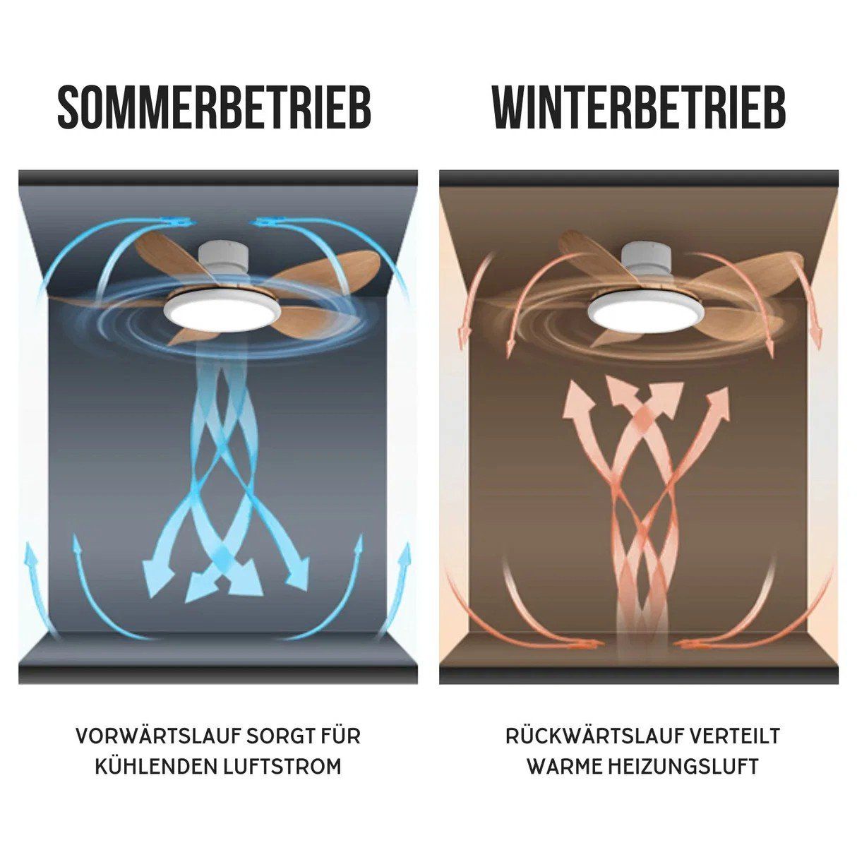 Ventilatori: Ventilateur de plafond avec lumière – Usato da Zumholz venduto da PemFabienne 1