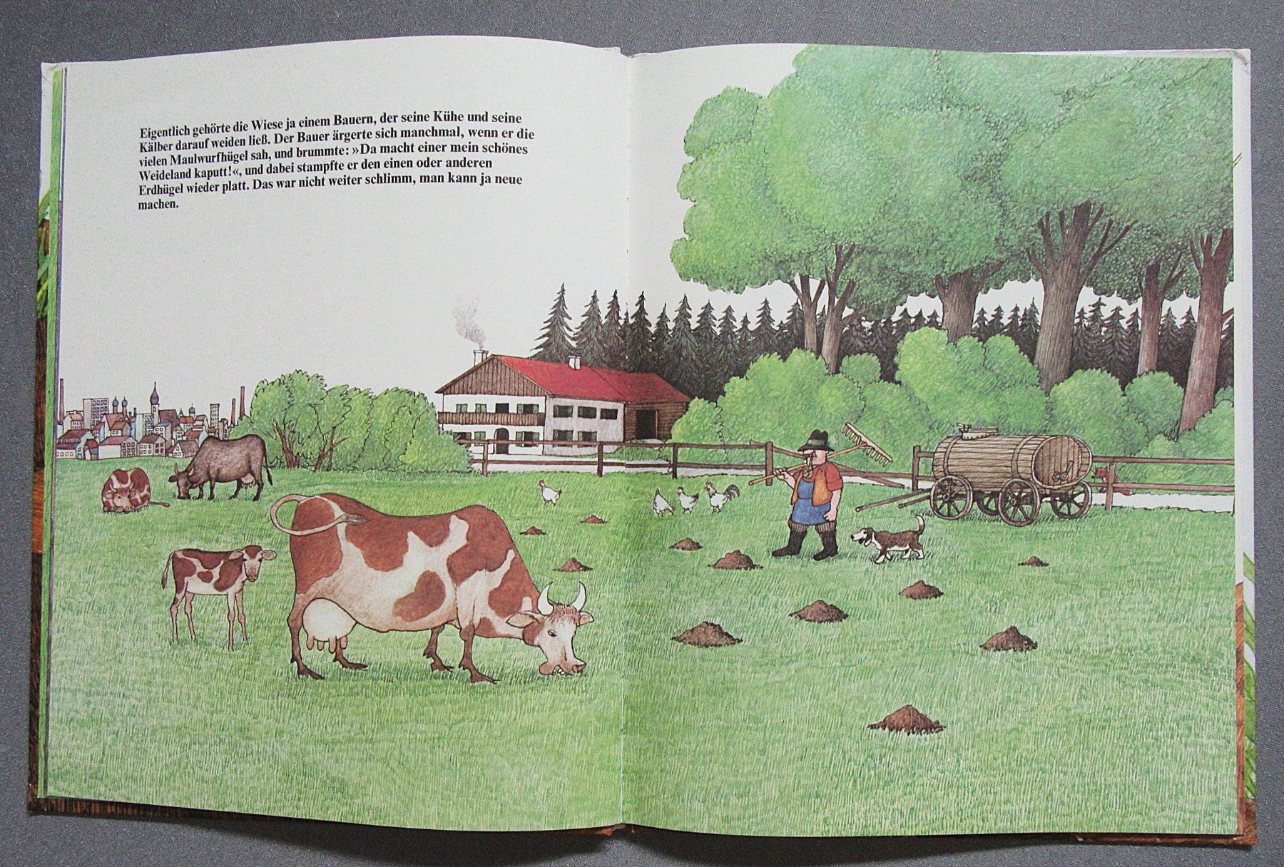 Bücher: Der Maulwurf Grabowski - ein Kinderbuchklassiker – Gebraucht aus Auenstein von Padabimbim 3