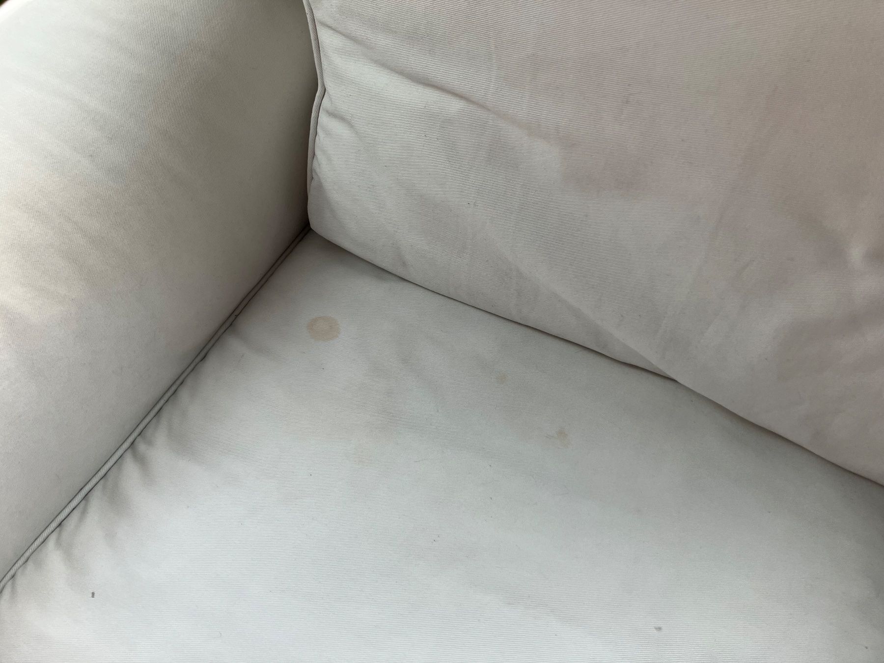 Divani: Sofa, superbequem, Zweier, Bezug Baumwolle, waschbar – Usato da Forch venduto da Zovage 4
