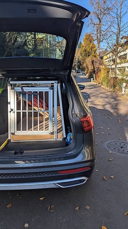Gabbie, trasporto & Sicurezza: Robuste Hunde Transportbox aus Alu – Usato da Bern venduto da baze 3