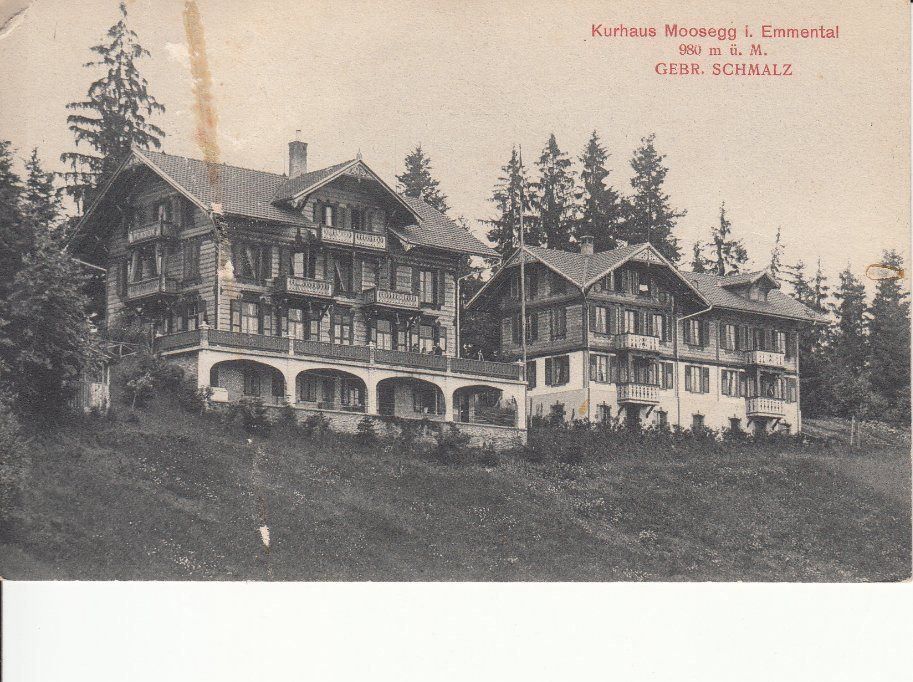 Cartoline postali: Moosegg ca. 1915 – Usato da Bürglen TG venduto da StampGraf