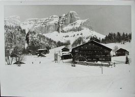 BRAUNWALD