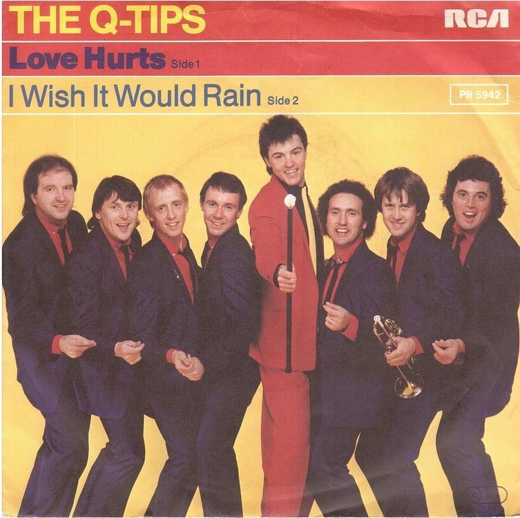 Dischi in vinile: Single7  The Q-Tips  --  Love hurts – Usato da Oberwil (Dägerlen) venduto da thealbum