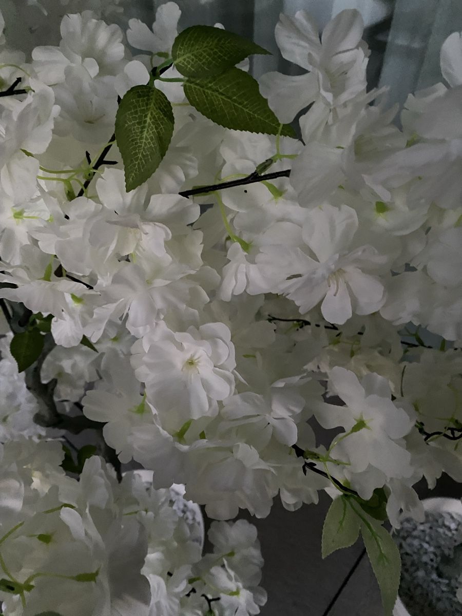 Plantes & graines: Zwei künstliche Kirschblütenböume  – D'occasion à Kappel SO par sil_79fz 1