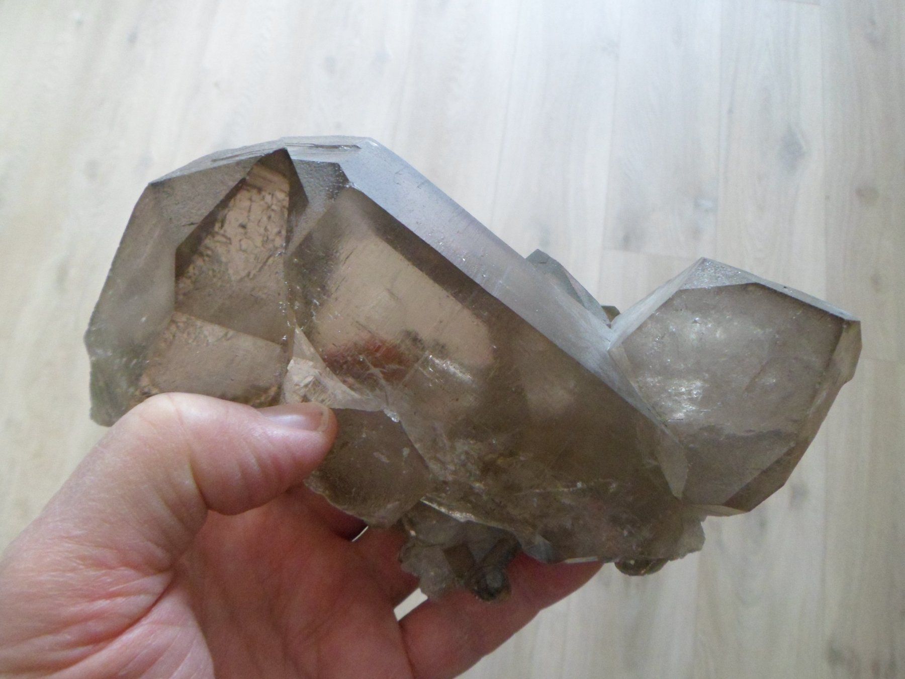 Minerali & Pietre curative: Rauchquarzstufe Schweiz – Usato da Affoltern am Albis venduto da Fossil60 8