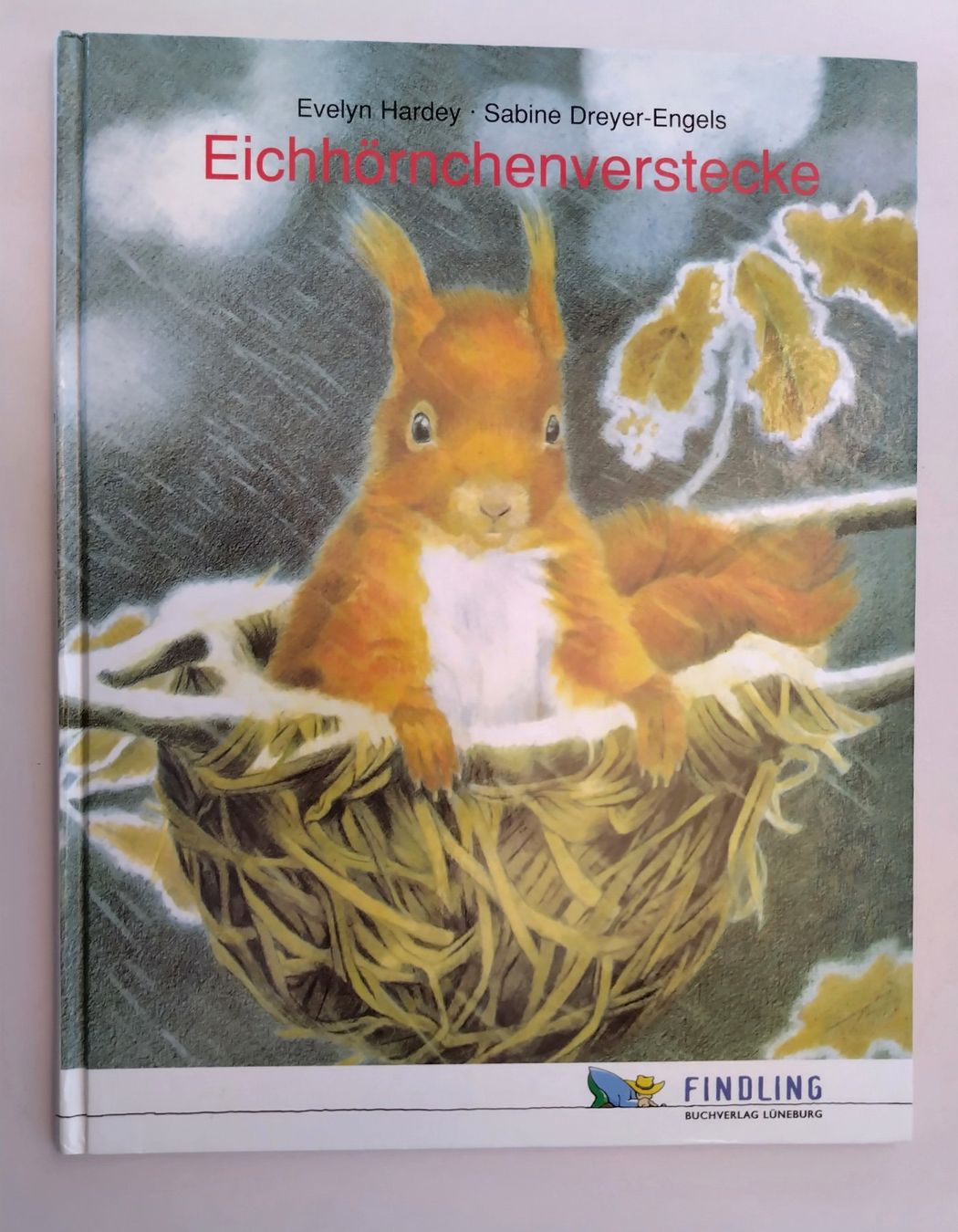 Libri: Eichhörnchenverstecke / Eichhörnchen Bilderbuch ab Fr. 8.- – Usato da Bellach venduto da JingleJerry