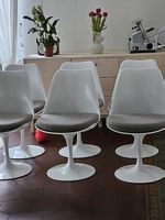 Set 6 sedie, Knoll Tulip