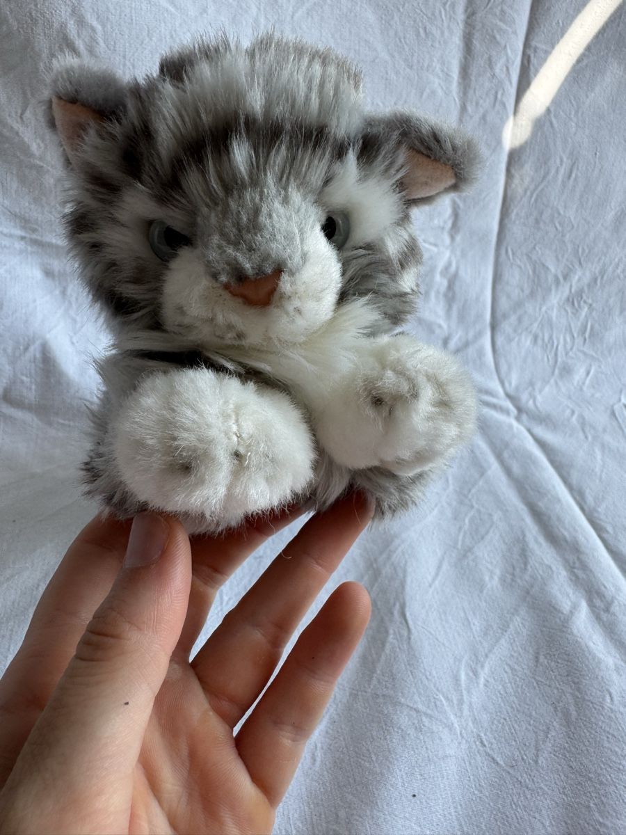 Spielzeuge: Plüsch Katze  – Gebraucht aus Bern von ava_l8tk