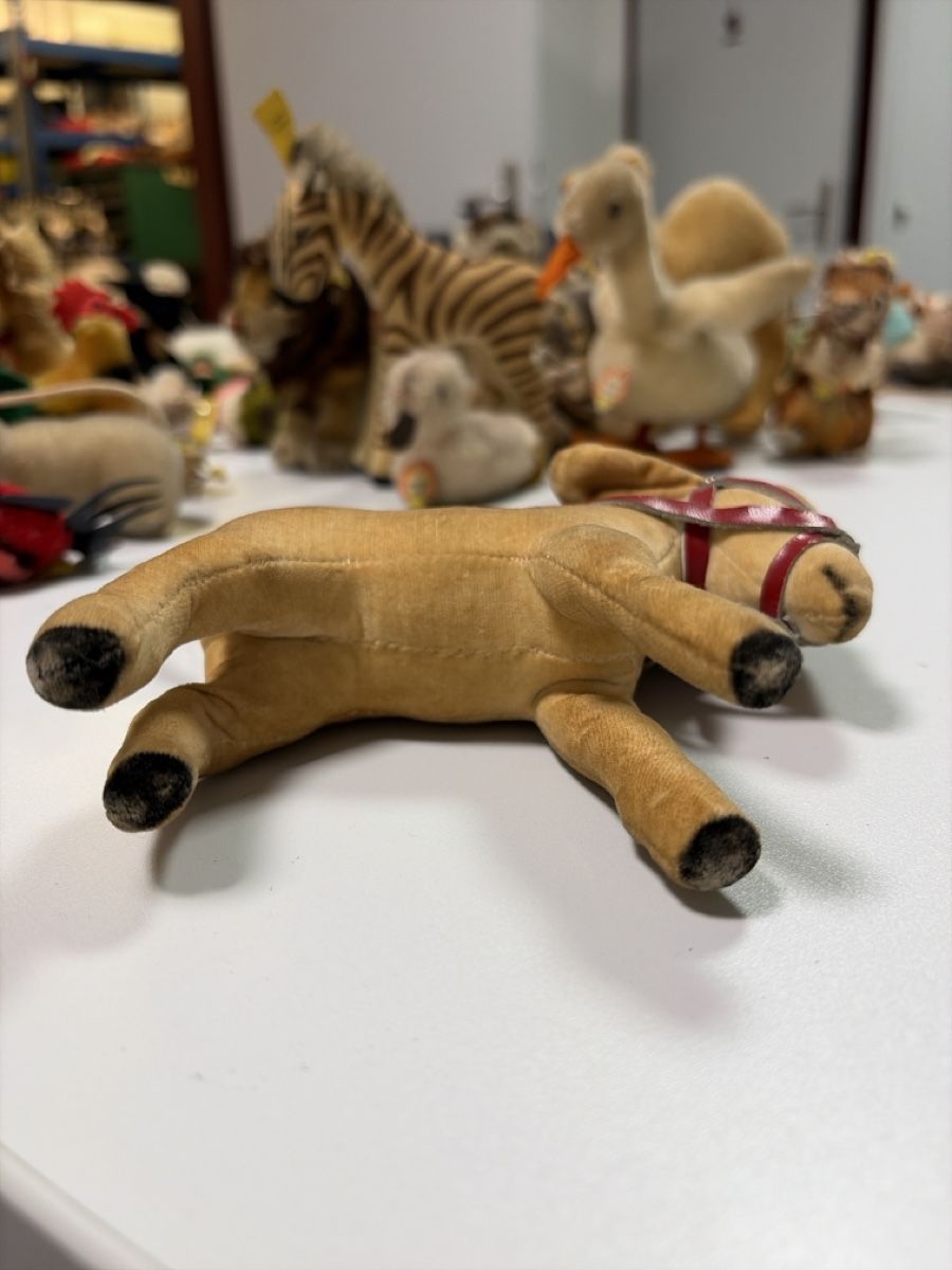 Steiff Spielzeuge: Steiff Esel /Pferd 1412.0 mit Marke und Schild – Gebraucht aus Dietikon von cre8different 7