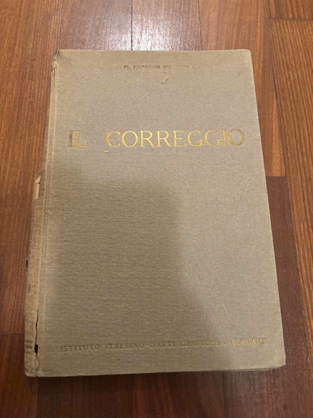 Libri: Il Correggio – Usato da Lugano venduto da Mark_Young