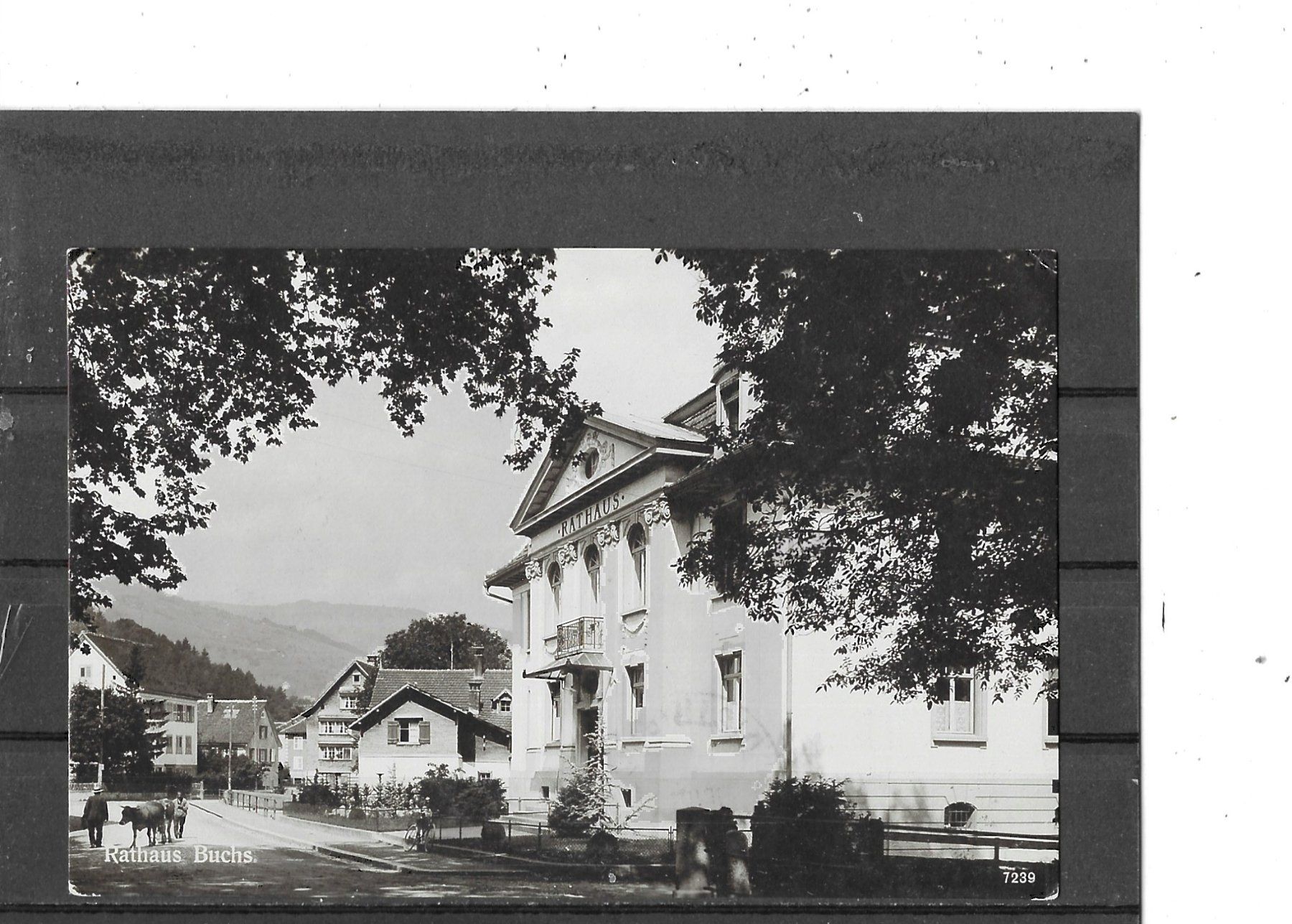 Ansichtskarten: SG Buchs 1919 mit Rathaus – Gebraucht aus Schocherswil von Wilare