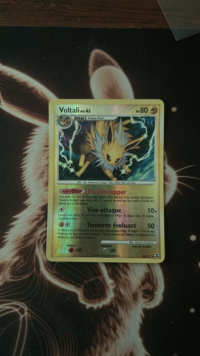 Pokémon Sammelbilder & Trading cards: Pokémon Voltali Reverse Rivaux Emergeants Français – Gebraucht aus Sullens von jov_m2wm