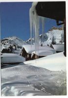 MÜRREN Birg