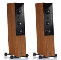 Audio Physic Cardeas V
