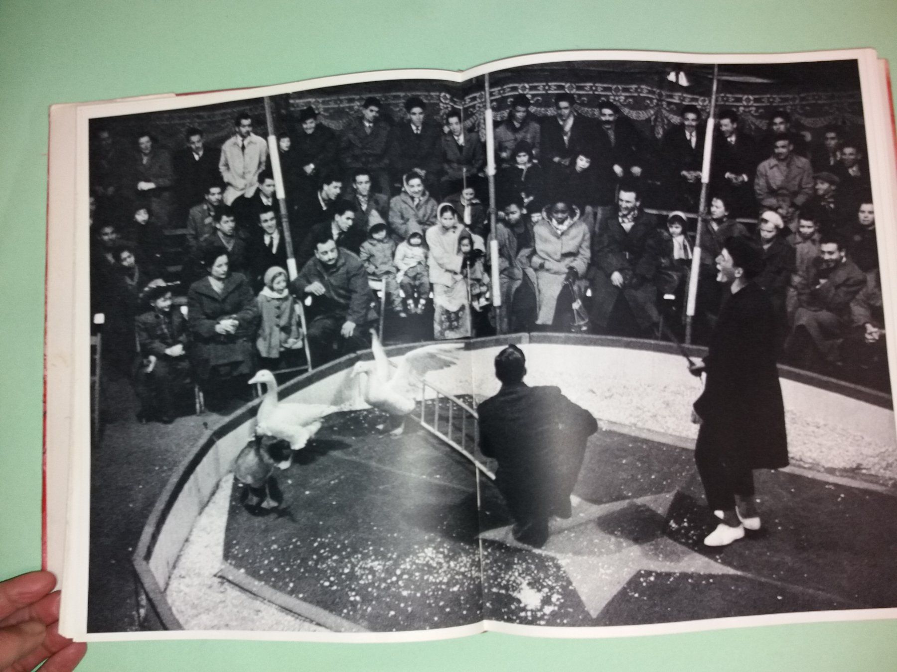 Bücher: IZIS cirque FOTOKLASSIKER Chagall Prevert – Gebraucht aus Welschenrohr von Regool 8