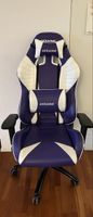 AKRacing Gaming Stuhl - Lila/Weiss - Top Zustand