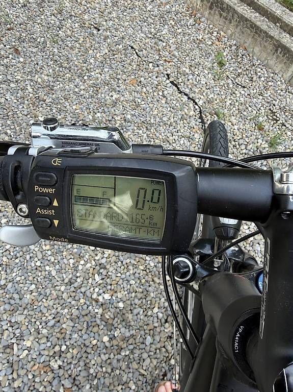 Velos: Flyer Vollblut 500 / 45km/h / Grösse L – Gebraucht aus Hallwil von Calimerito0969 3